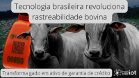 Imagem da notícia Rastreabilidade bovina transforma gado em ativo de garantia de crédito